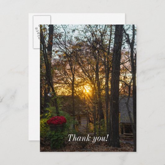 Sdc Woods Zonsondergang Briefkaart (Voorkant / Achterkant)