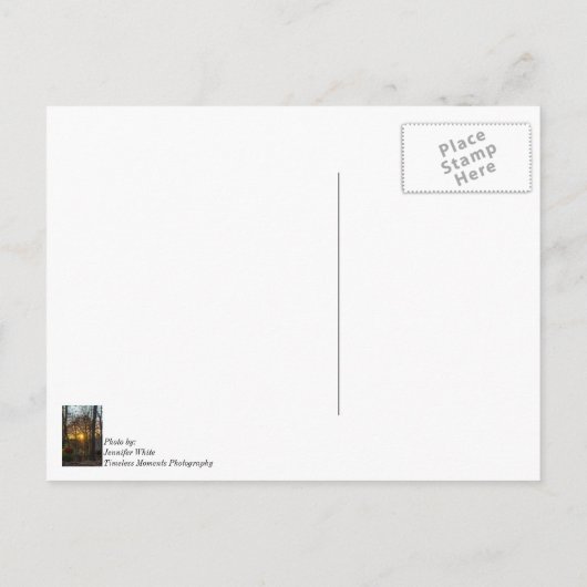 Sdc Woods Zonsondergang Briefkaart (Achterkant)