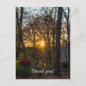 Sdc Woods Zonsondergang Briefkaart (Voorkant)