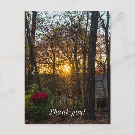 Sdc Woods Zonsondergang Briefkaart (Voorkant)