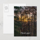 SDC Woody Sunset Briefkaart (Voorkant / Achterkant)