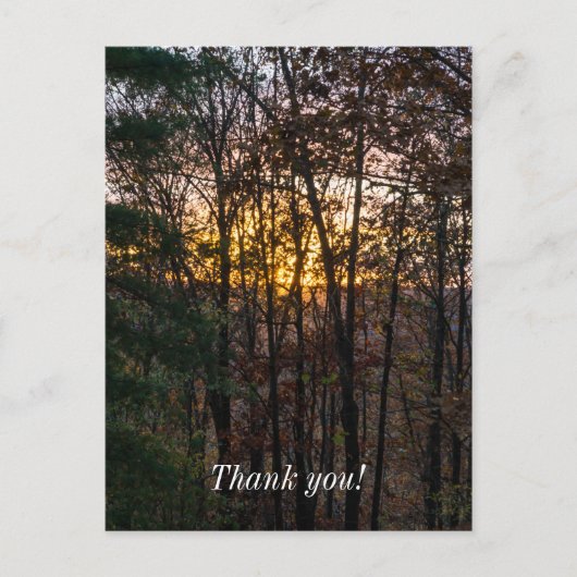 SDC Woody Sunset Briefkaart (Voorkant)