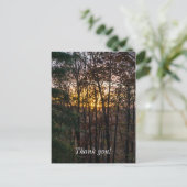 SDC Woody Sunset Briefkaart (Staand voorkant)