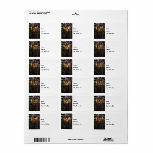 SDC Woody Sunset Etiket (Full Sheet)