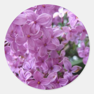 Sdlilac Ronde Sticker