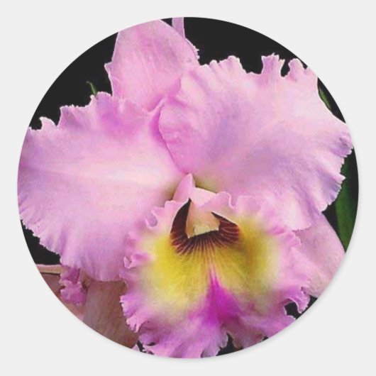 Sdorquidea Ronde Sticker (Voorkant)