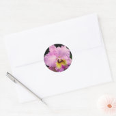 Sdorquidea Ronde Sticker (Envelop)