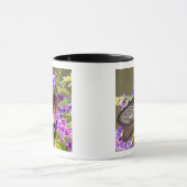 SE Azië, Thailand, Doi Inthanon, Papilio Mok (Midden)