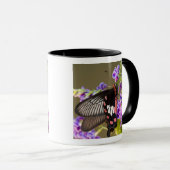 SE Azië, Thailand, Doi Inthanon, Papilio Mok (Voorkant rechts)