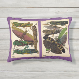 "SE Seguy-Insect Mode" Buitenkussen