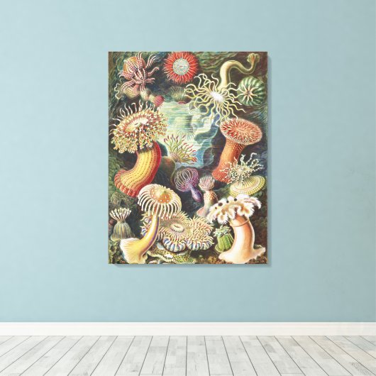 Sea Anemone Scientific Nature Ocean Canvas Afdruk (Insitu (Houten vloer))