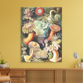 Sea Anemone Scientific Nature Ocean Canvas Afdruk (Insitu (Woonkamer))