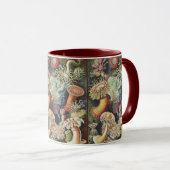 Sea Anemone Scientific Nature Ocean Mok (Voorkant rechts)