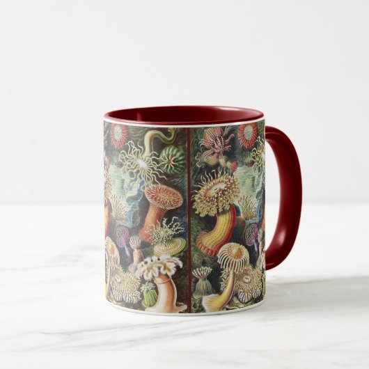 Sea Anemone Scientific Nature Ocean Mok (Voorkant rechts)