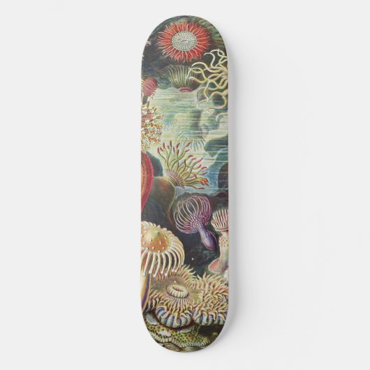 Sea Anemone Scientific Nature Ocean Persoonlijk Skateboard (Voorkant)