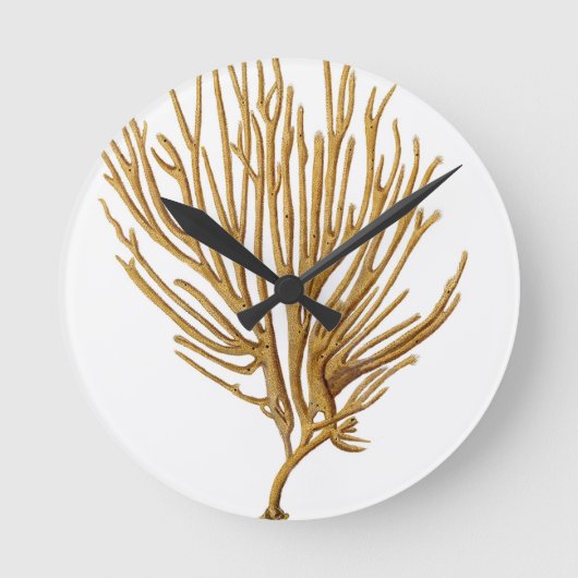 Sea Coral No. 12 Beach coastal nautical themed Ronde Klok (Voorkant)