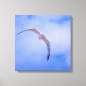 Sea gull in flight canvas afdruk (Voorkant)