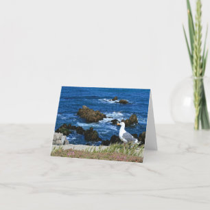 Sea Gull on Pacific Coast, Blank Note Card Kaart