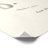 Sea Island-katoen (gossypium vitifolium) Poster (Hoek)