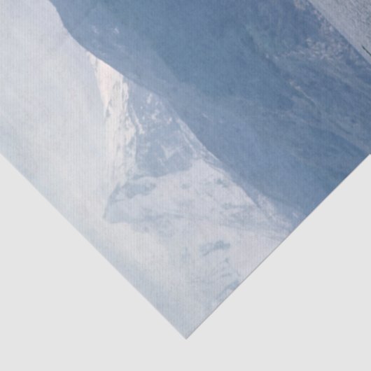 Sea lions in beagle channel - Argentina Tissuepapier (Detail)