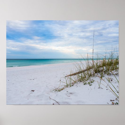 Sea Oats And White Sand Beach Morning Poster (Voorkant)
