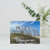 "Sea Oats" Postcard Briefkaart (Staand voorkant)
