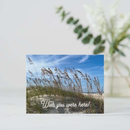 "Sea Oats" Postcard Briefkaart (Staand voorkant)