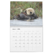Sea Otter Channel Calendar #1 Kalender (Mar 2026)