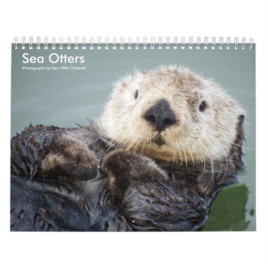 Sea Otter Channel Calendar #1 Kalender (Hoes)