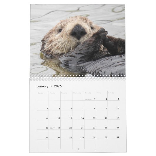Sea Otter Channel Calendar #2 Kalender (Jan 2026)