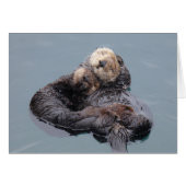 Sea Otter Mom and Pup (Voorkant Horizontaal)