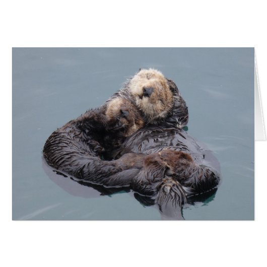 Sea Otter Mom and Pup (Voorkant Horizontaal)