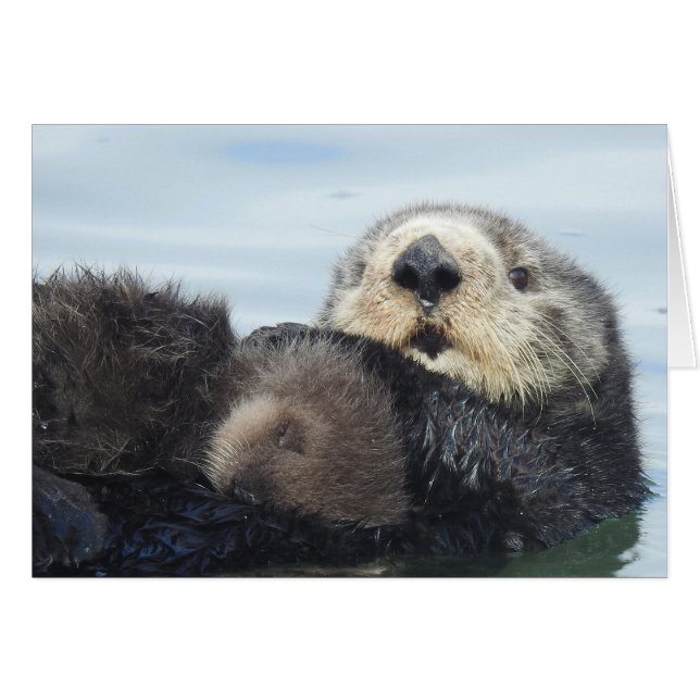 Sea Otter Mom and Pup (Voorkant Horizontaal)