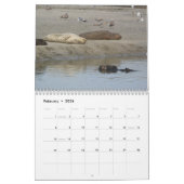 Sea Otter Mom and Pup Calendar #1 Kalender (Feb 2026)
