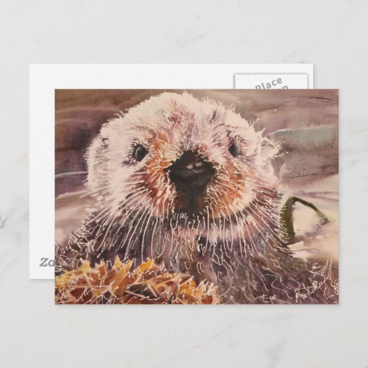 Sea Otter Postcard Briefkaart (Voorkant / Achterkant)
