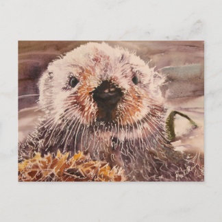 Sea Otter Postcard Briefkaart