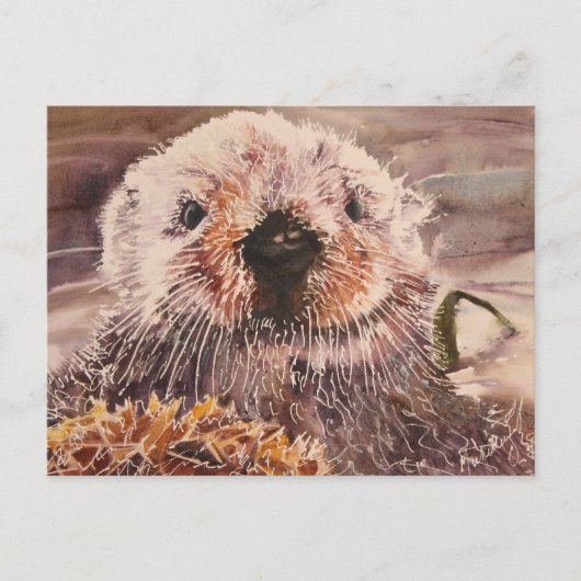 Sea Otter Postcard Briefkaart (Voorkant)
