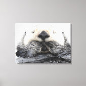Sea Otter Sleeping Canvas Afdruk (Voorkant)