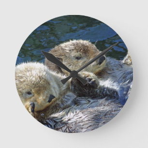 Sea-otters Ronde Klok