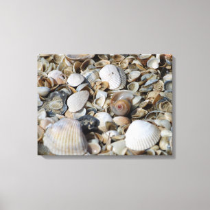Sea Shells Beach Scene Macro Fotobehang Canvas Afdruk