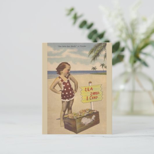  Sea Shells Florida Post Card Briefkaart (Staand voorkant)
