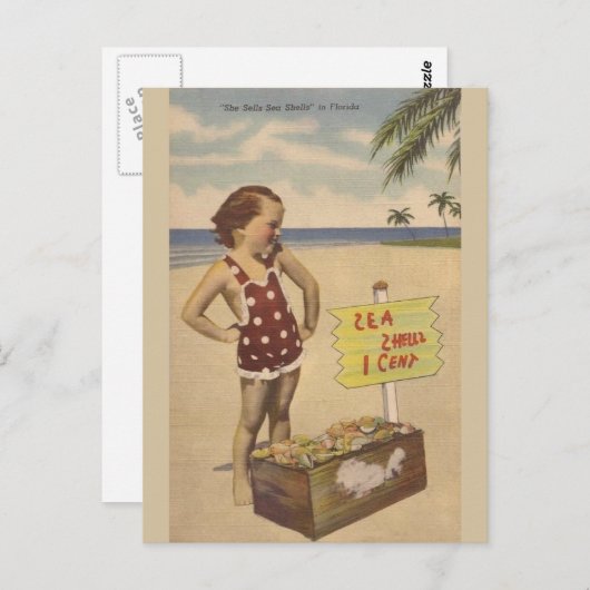 Sea Shells Florida Post Card Briefkaart (Voorkant / Achterkant)