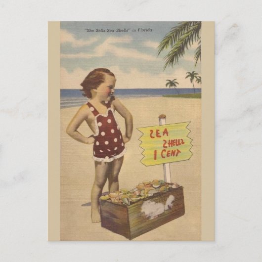 Sea Shells Florida Post Card Briefkaart (Voorkant)