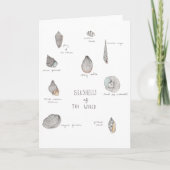 Sea Shells Greeting Card Kaart (Voorkant)