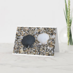Sea Shells houden van Kaart