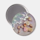 SEA SHELLS VAN SHARON SHARPE MAGNEET (Voorkant / Achterkant)