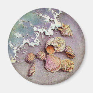 SEA SHELLS VAN SHARON SHARPE MAGNEET