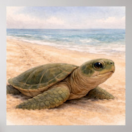 Sea Turtle Beach  Poster