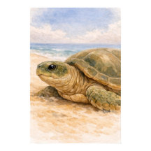 Sea Turtle Ocean Beach