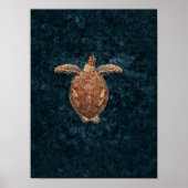 Sea Turtle Print Turtle Poster Sea Print Sea Wall  (Voorkant)